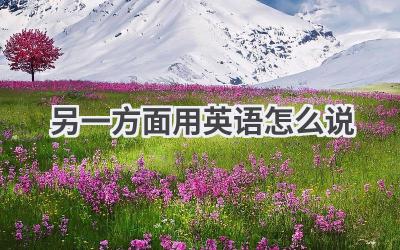 另一方面用英语怎么说