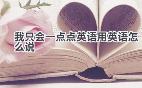 我只会一点点英语用英语怎么说