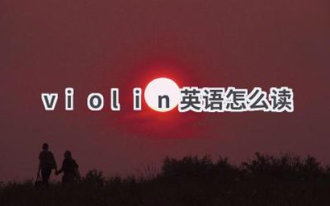violin英语怎么读