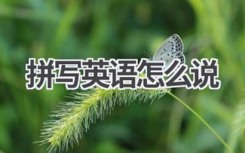 拼写英语怎么说