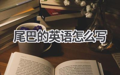 尾巴的英语怎么写