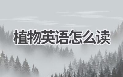植物英语怎么读