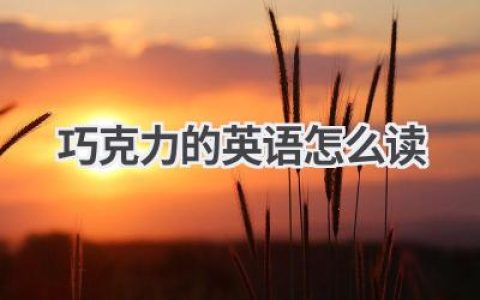 巧克力的英语怎么读