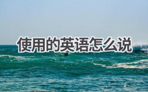 使用的英语怎么说