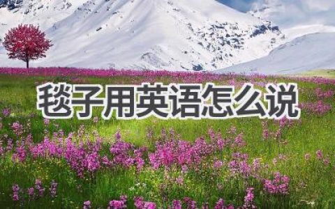 毯子用英语怎么说