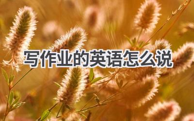 写作业的英语怎么说