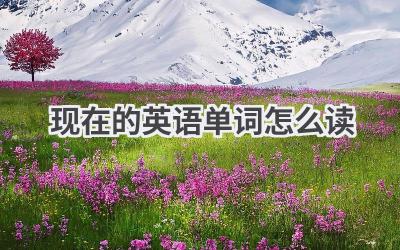 现在的英语单词怎么读