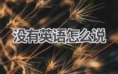 没有英语怎么说