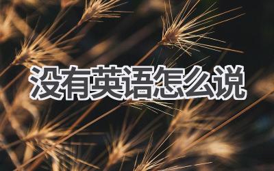 没有英语怎么说