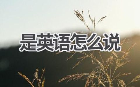 是英语怎么说