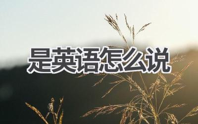是英语怎么说