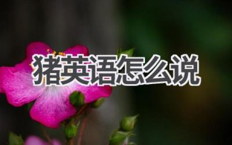 猪英语怎么说