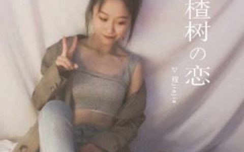 山楂树の恋歌词 程jiajia山楂树の恋歌曲LRC歌词下载