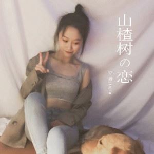 山楂树の恋歌词 程jiajia山楂树の恋歌曲LRC歌词下载