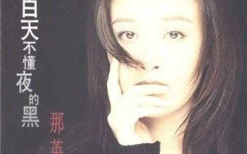 白天不懂夜的黑歌词 那英白天不懂夜的黑歌曲LRC歌词下载