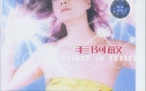 同一首歌歌词 毛阿敏同一首歌歌曲LRC歌词下载