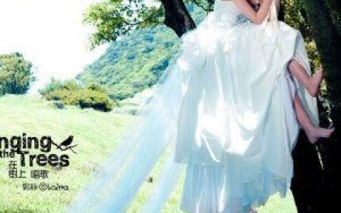 心墙歌词 郭静心墙歌曲LRC歌词下载