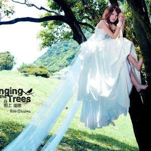 心墙歌词 郭静心墙歌曲LRC歌词下载