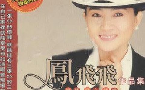 潇洒的走歌词 凤飞飞潇洒的走歌曲LRC歌词下载