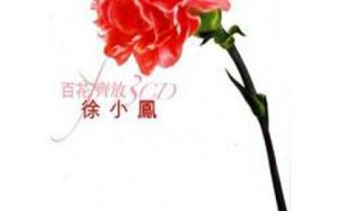 流下眼泪前歌词 徐小凤流下眼泪前歌曲LRC歌词下载
