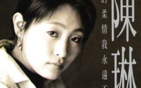 你的柔情我永远不懂歌词 陈琳你的柔情我永远不懂歌曲LRC歌词下载