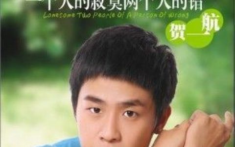 一个人的寂寞两个人的错歌词 贺一航一个人的寂寞两个人的错歌曲LRC歌词下载