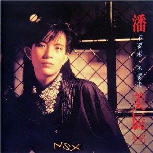 我曾用心爱着你歌词 潘美辰我曾用心爱着你歌曲LRC歌词下载