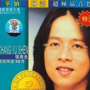 天天想你歌词 张雨生天天想你歌曲LRC歌词下载