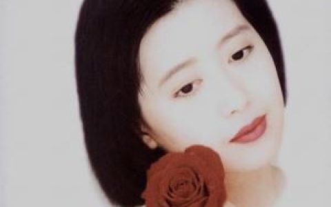 谁的眼泪在飞歌词 孟庭苇谁的眼泪在飞歌曲LRC歌词下载