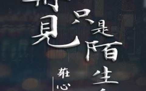再见只是陌生人歌词 庄心妍再见只是陌生人歌曲LRC歌词下载