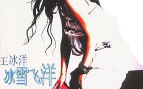 飞舞歌词 王冰洋飞舞歌曲LRC歌词下载