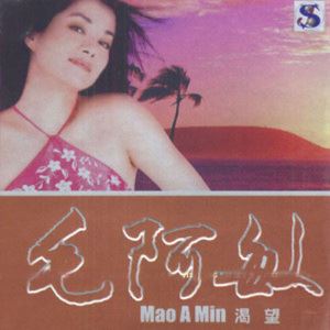 思念歌词 毛阿敏思念歌曲LRC歌词下载