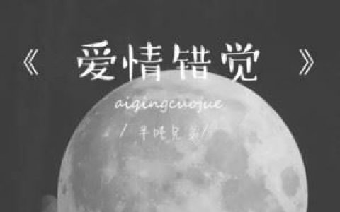 爱情错觉歌词 半吨兄弟爱情错觉歌曲LRC歌词下载