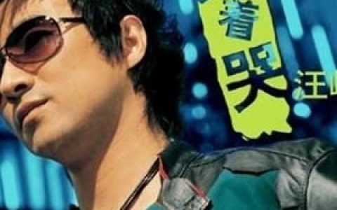 飞的更高歌词 汪峰飞的更高歌曲LRC歌词下载