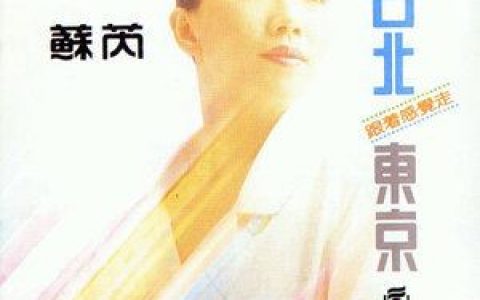 跟着感觉走歌词 苏芮跟着感觉走歌曲LRC歌词下载