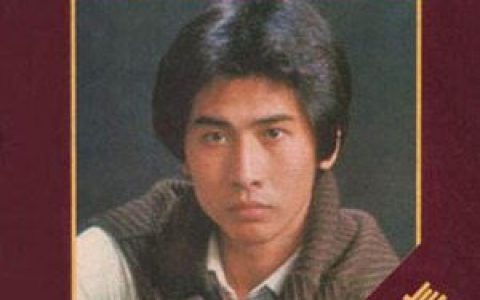 又见溜溜的她歌词 齐秦又见溜溜的她歌曲LRC歌词下载