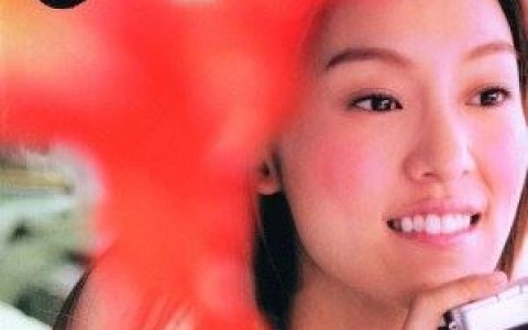 可不可以不勇敢歌词 范玮琪可不可以不勇敢歌曲LRC歌词下载