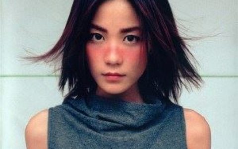 红豆歌词 王菲红豆歌曲LRC歌词下载