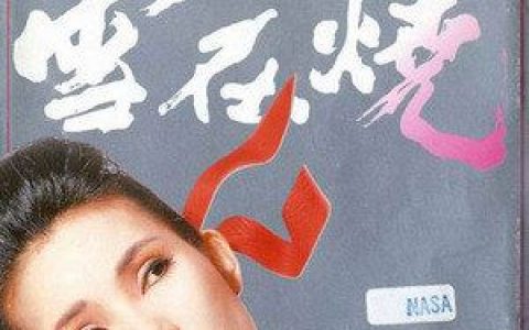 雪在烧歌词 黄莺莺雪在烧歌曲LRC歌词下载
