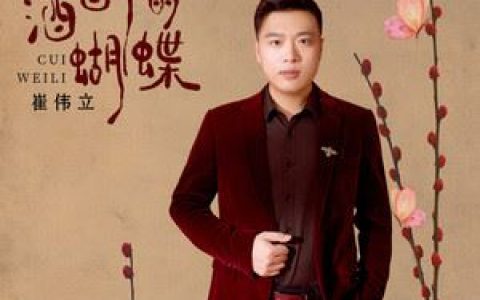酒醉的蝴蝶歌词 崔伟立酒醉的蝴蝶歌曲LRC歌词下载