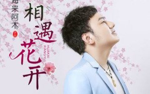 相遇花开 (DJ可乐版)歌词 海来阿木 相遇花开 (DJ可乐版)歌曲LRC歌词下载