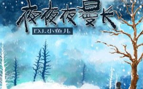 夜夜夜漫长歌词 DJ小鱼儿 夜夜夜漫长歌曲LRC歌词下载