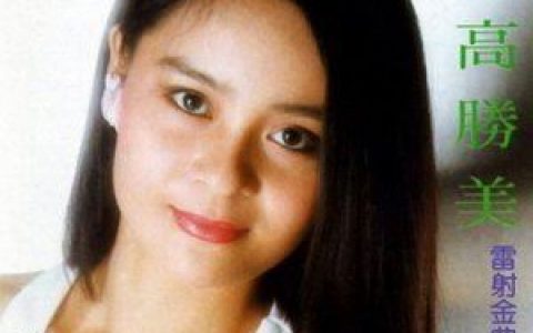 往事只能回味歌词 高胜美 往事只能回味歌曲LRC歌词下载