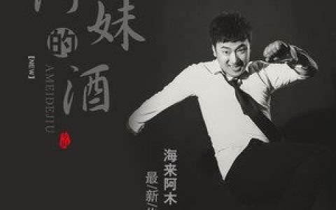 阿妹的酒歌词 海来阿木 阿妹的酒歌曲LRC歌词下载