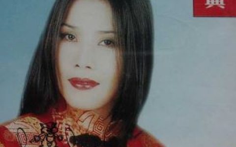 好大一棵树歌词 田震 好大一棵树歌曲LRC歌词下载