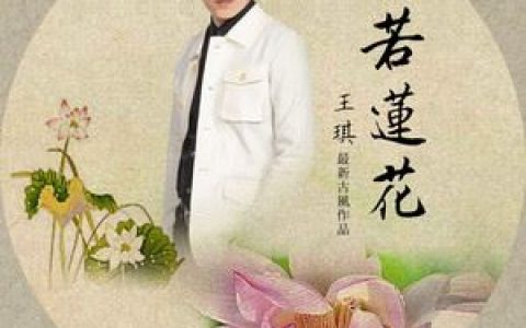 心若莲花歌词 王琪 心若莲花歌曲LRC歌词下载