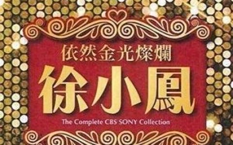 风雨同路歌词 徐小凤 风雨同路歌曲LRC歌词下载