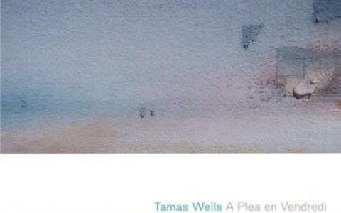 valder fields歌词 Tamas Wells valder fields歌曲LRC歌词下载