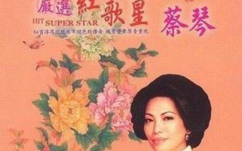 不了情歌词 蔡琴 不了情歌曲LRC歌词下载