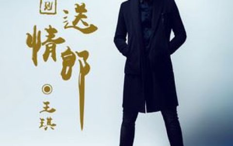 又见送情郎歌词 王琪 又见送情郎歌曲LRC歌词下载